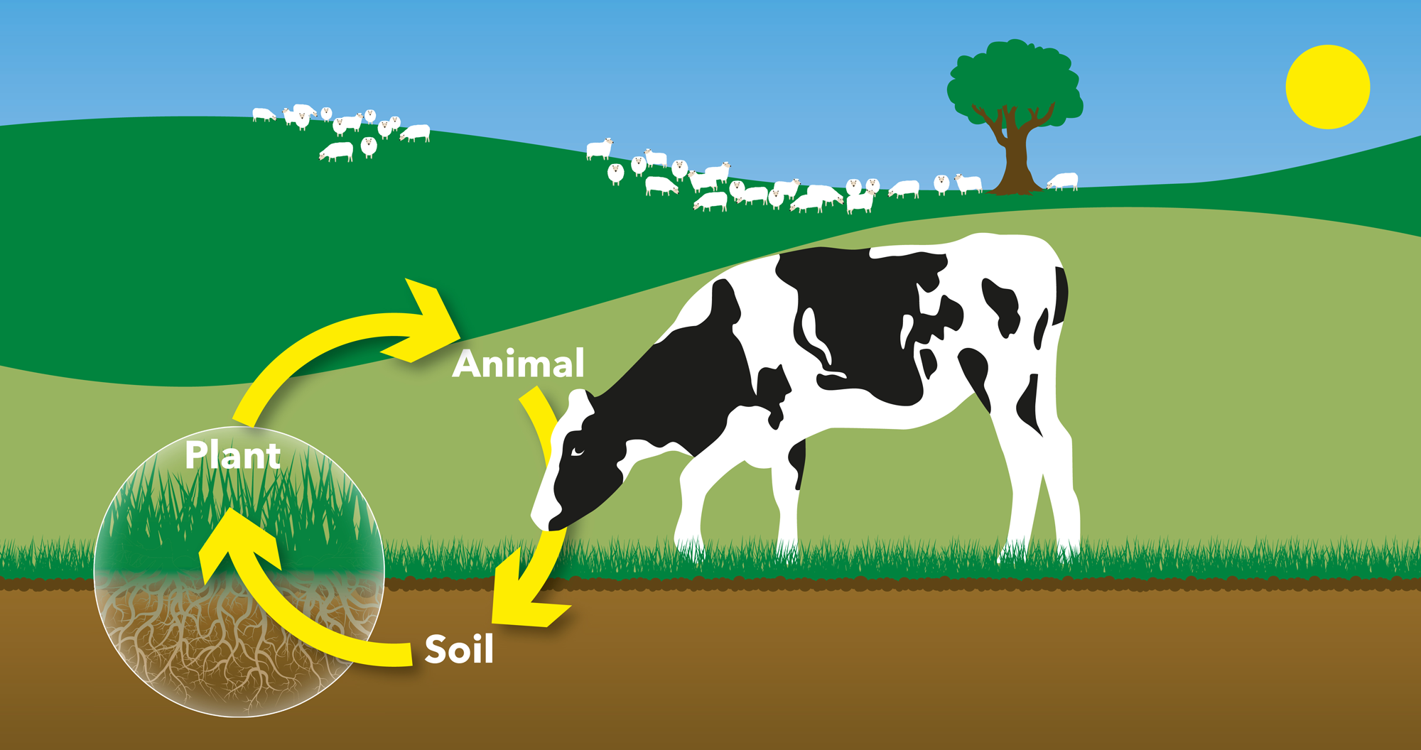 Humber Palmers | High Efficiency Fertilisers Humber Palmers | High Efficiency Fertilisers
